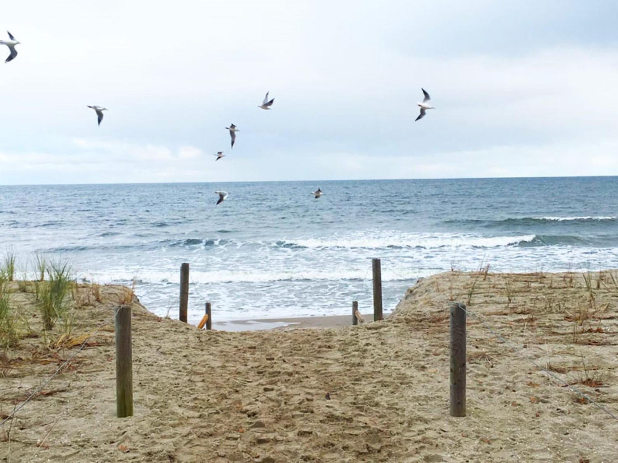 Beim Windmueller App 2,3,4,5 Koserow